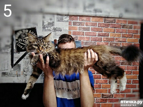 ���� 9: ���� ��� �������, �����