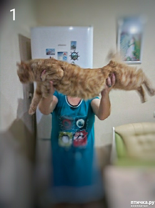 ���� 10: ���� ��� �������, �����