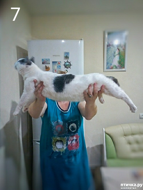 ���� 11: ���� ��� �������, �����