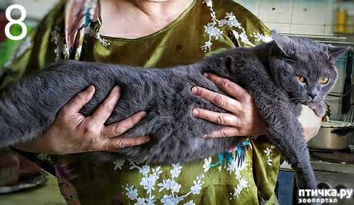 ���� 12: ���� ��� �������, �����