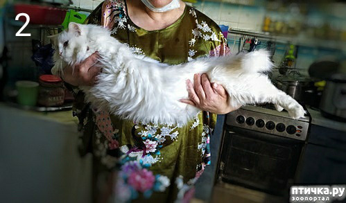 ���� 13: ���� ��� �������, �����