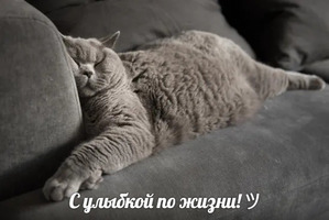 ����: ������� �����