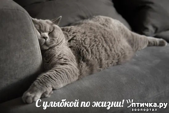 ���� 1: ������� �����