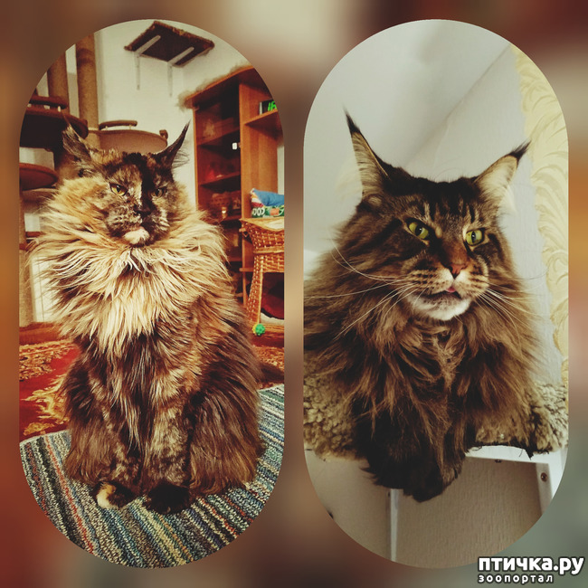 ���� 1: ���� ��� �������, �����