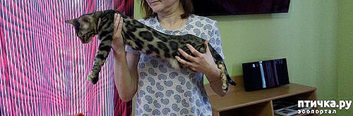 ���� 14: ���� ��� �������, �����