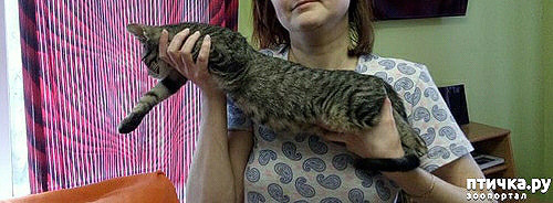 ���� 15: ���� ��� �������, �����