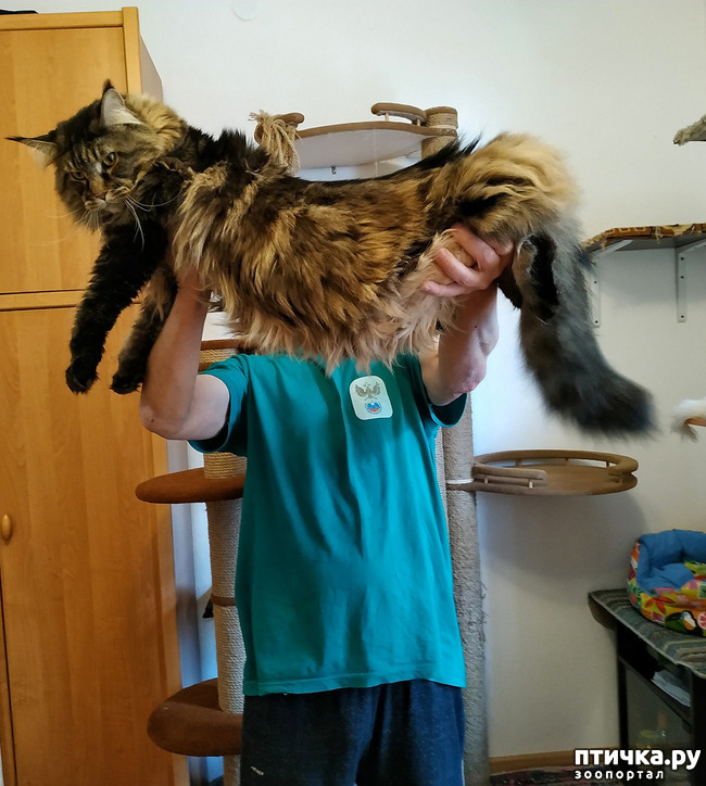 ���� 17: ���� ��� �������, �����