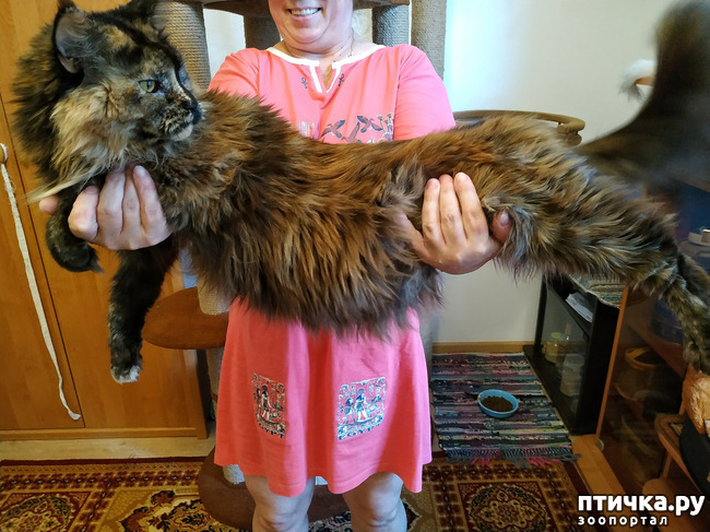 ���� 18: ���� ��� �������, �����