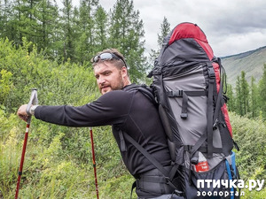 ����: ����� ��������