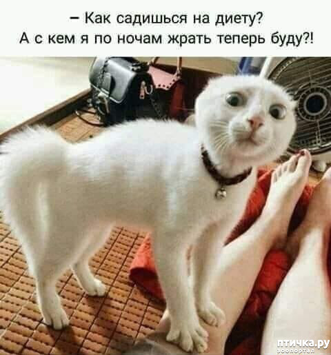 ���� 1: ������� �����