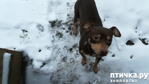 ����: ������� ������! ��� �� ������? ��������. ����� �����, ��������. � �������� �����������.