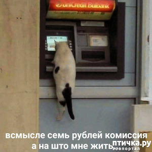 ����: ������� ��������