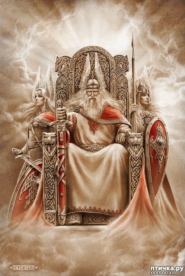  2:  