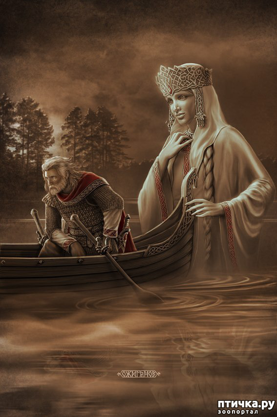  3:  