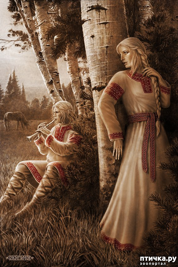  7:  
