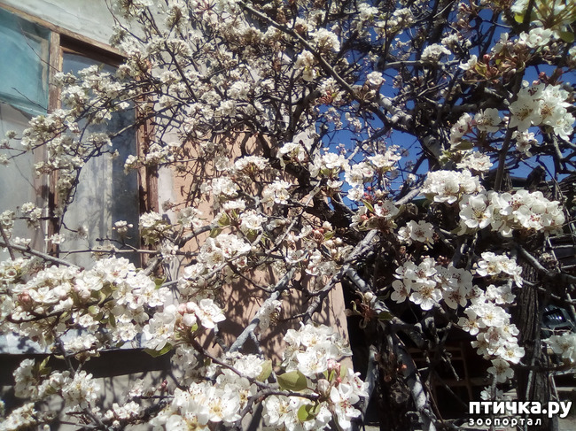 ���� 2: �� ���������� �����.