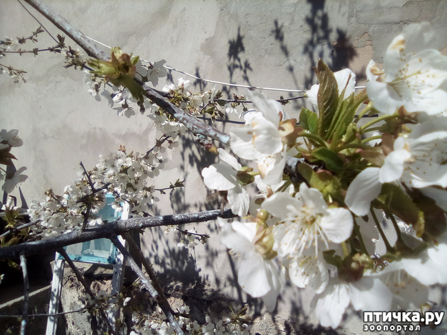 ���� 3: �� ���������� �����.