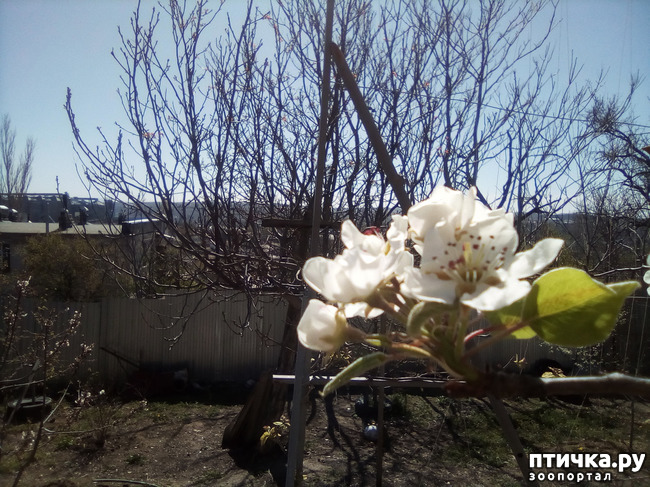 ���� 4: �� ���������� �����.