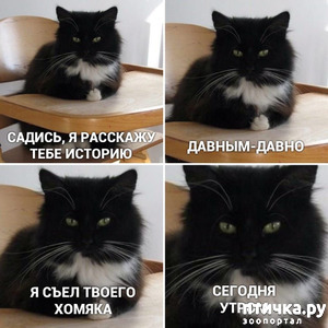 ����: ������, ������� �� ������ �����!?