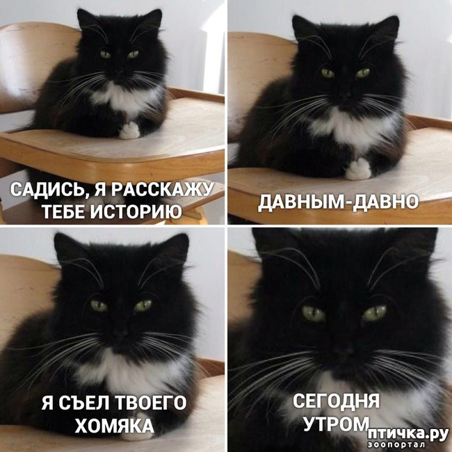 ���� 1: ������, ������� �� ������ �����!?