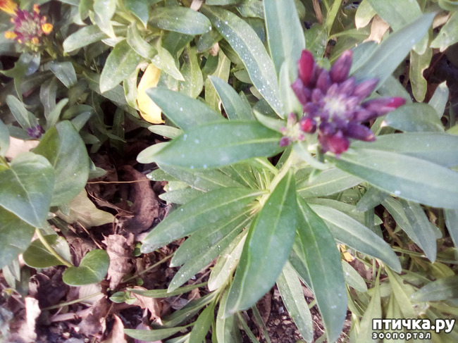 ���� 5: �� ���������� �����.