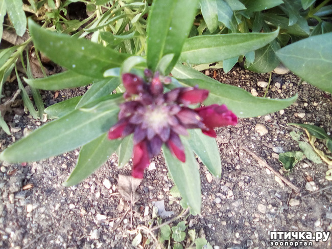 ���� 6: �� ���������� �����.