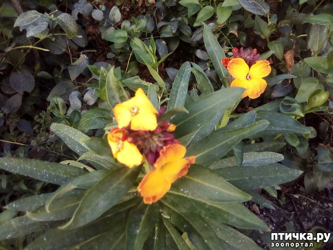 ���� 7: �� ���������� �����.