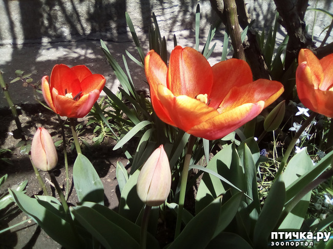 ���� 8: �� ���������� �����.