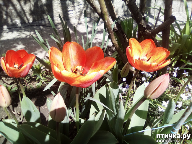 ���� 9: �� ���������� �����.