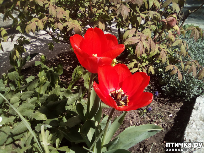 ���� 10: �� ���������� �����.