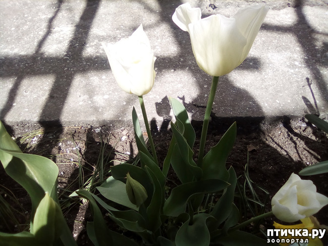 ���� 11: �� ���������� �����.