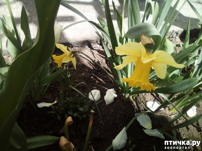 ���� 12: �� ���������� �����.