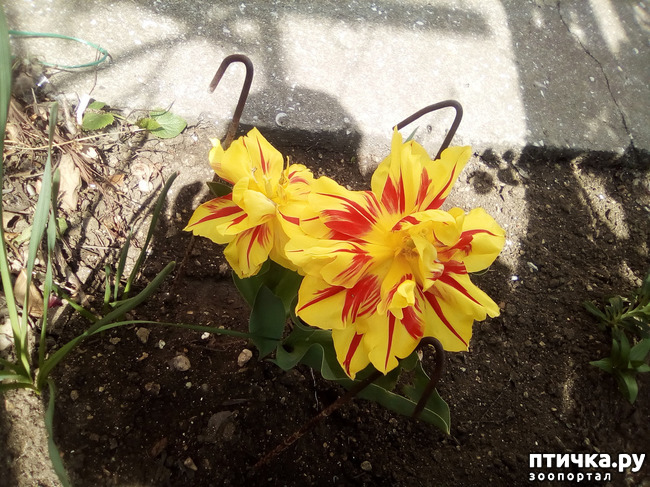 ���� 13: �� ���������� �����.