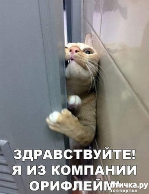 ����: ������� � ������ ������ 2