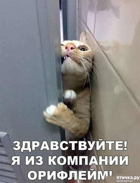 ���� 1: ������� � ������ ������ 2