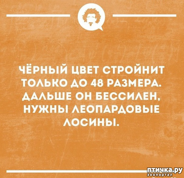 ���� 2: ������� � ������ ������ 2