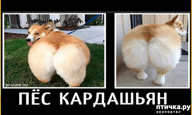 ���� 4: ������� � ������ ������ 2