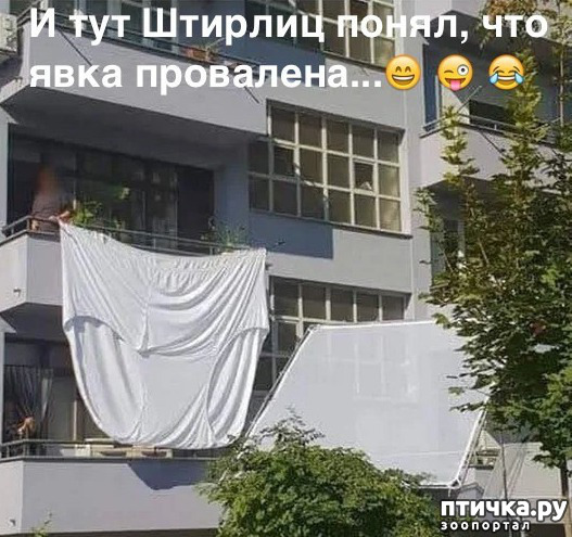 ���� 9: ������� � ������ ������ 2