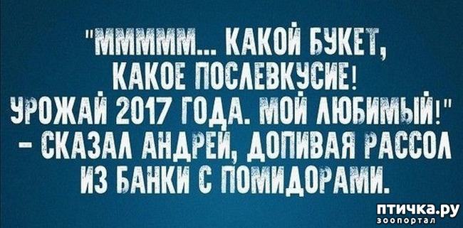 ���� 11: ������� � ������ ������ 2