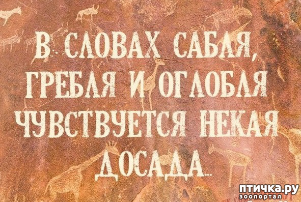 ���� 14: ������� � ������ ������ 2