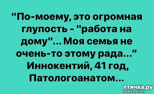 ���� 17: ������� � ������ ������ 2