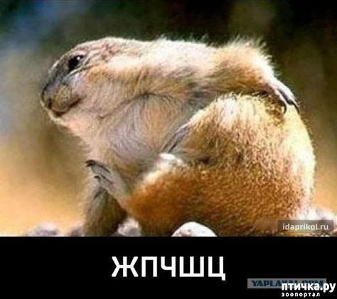 ���� 20: ������� � ������ ������ 2