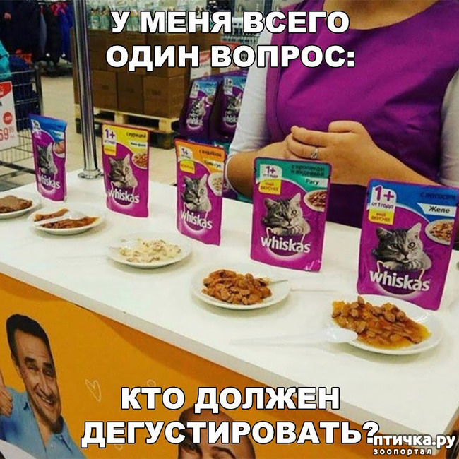 ���� 19: ������� � ������ ������ 2