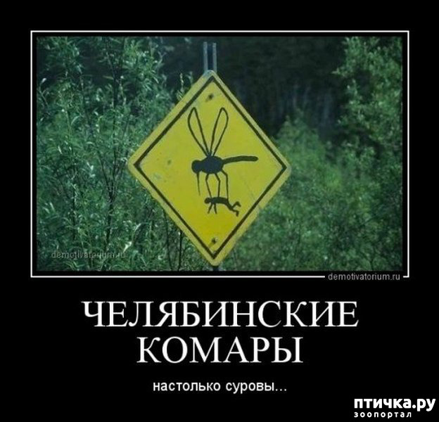 ���� 27: ������� � ������ ������ 2