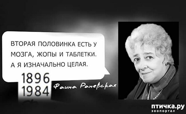 ���� 29: ������� � ������ ������ 2