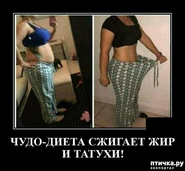 ���� 35: ������� � ������ ������ 2