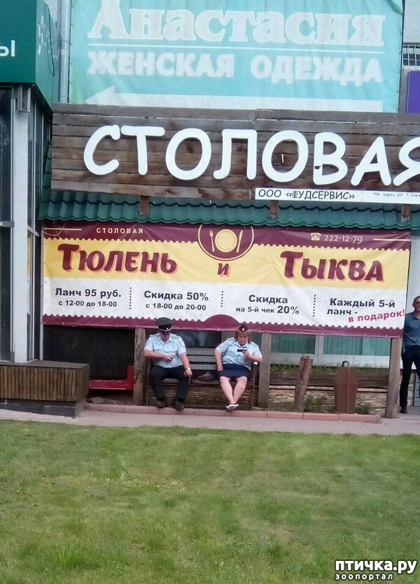 ���� 36: ������� � ������ ������ 2