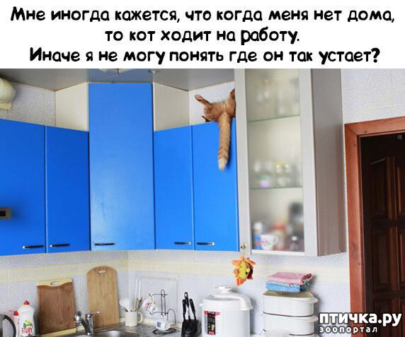 ���� 37: ������� � ������ ������ 2