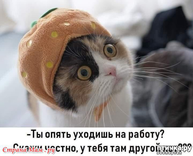 ���� 41: ������� � ������ ������ 2