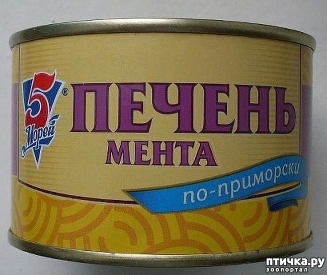 ���� 23: ������� � ������ ������ 2